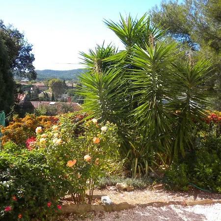 Ecrin De Verdure Sur Le Lavandou - Classement Tourisme 3 Etoiles Exterior photo