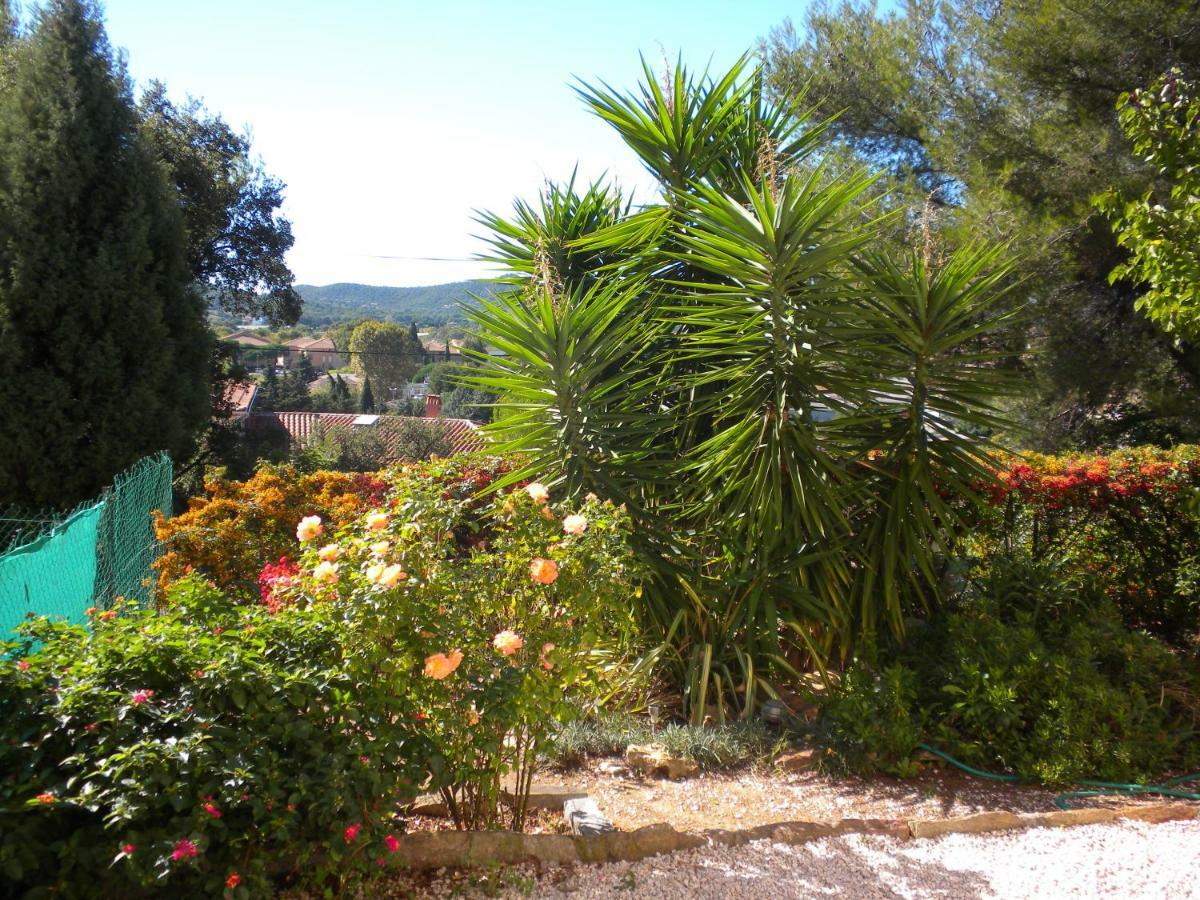 Apartment Ecrin De Verdure Sur - Classement Tourisme 3 Etoiles *