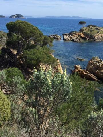 Ecrin De Verdure Sur - Classement Tourisme 3 Etoiles * Le Lavandou
